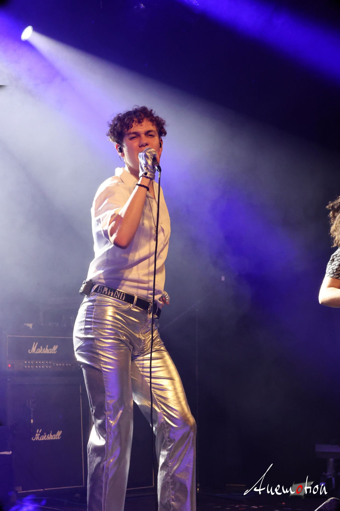 ElephantsFalling (73)